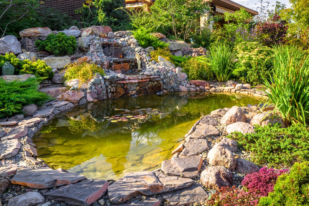 bassin et fontaine dans un jardin bucolique