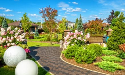 Comment aménager un jardin bucolique, tous nos conseils pratiques