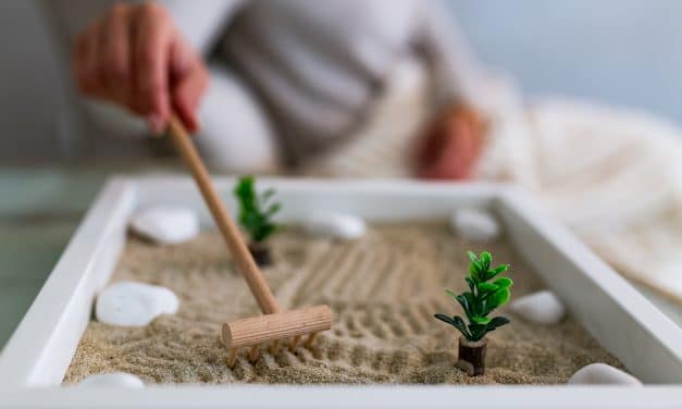 Comment faire un jardin zen miniature ?