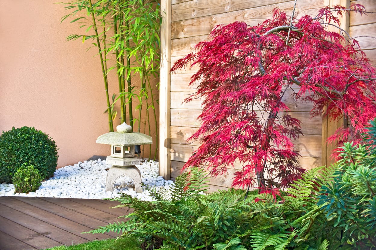 Comment faire un jardin zen pas cher dans votre maison ?