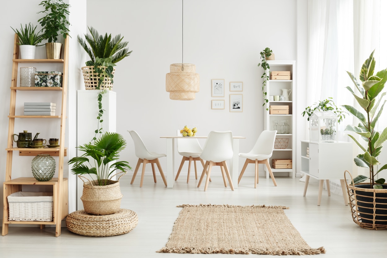 Décoration avec plantes et étagères en bois