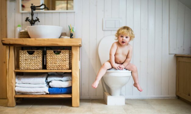 Comment aménager des WC sous escalier ?