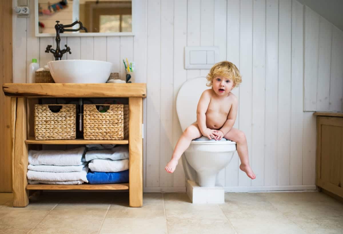 toilettes aménagées sous escalier