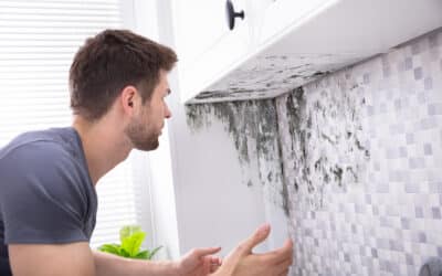 Dégâts des eaux : gare aux soucis d’humidité !