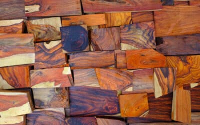 Bois exotique : savoir l’entretenir, l’installer, le choisir