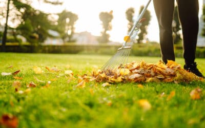 Profitez du printemps pour l’entretien de vos espaces verts