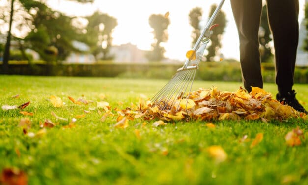 Profitez du printemps pour l’entretien de vos espaces verts