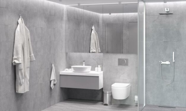 Une salle de bain pratique et esthétique avec une douche à l’italienne