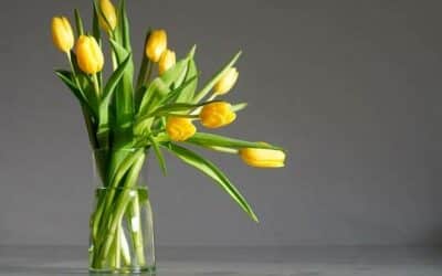 Déco : comment mettre en valeur un bouquet de fleurs que l’on vous a offert ?