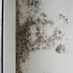 Taches d’humidité sur les murs intérieurs : causes et traitements
