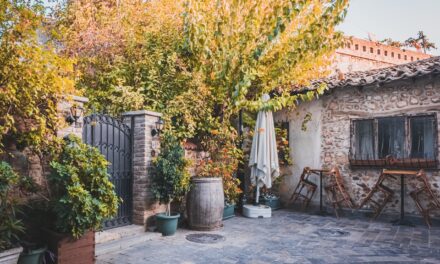 Aménager une terrasse en pavés : inspirations et conseils pratiques